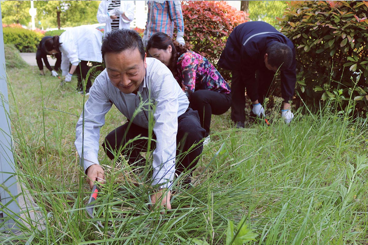 常州工厂绿化养护